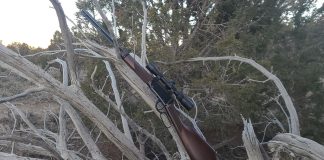 HENRY LEVER ACTION MAGNUM EXPRESS REVIEW