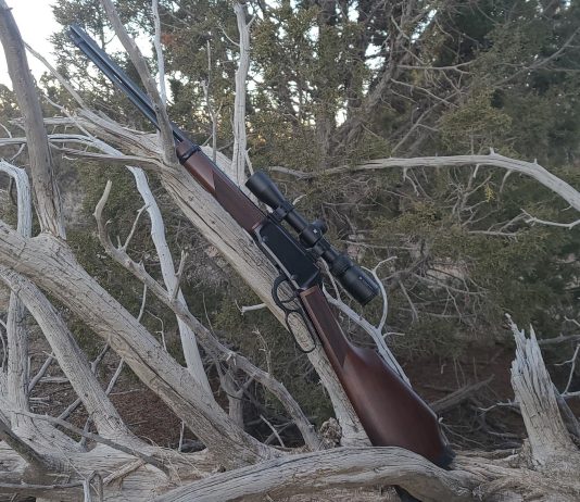 HENRY LEVER ACTION MAGNUM EXPRESS REVIEW