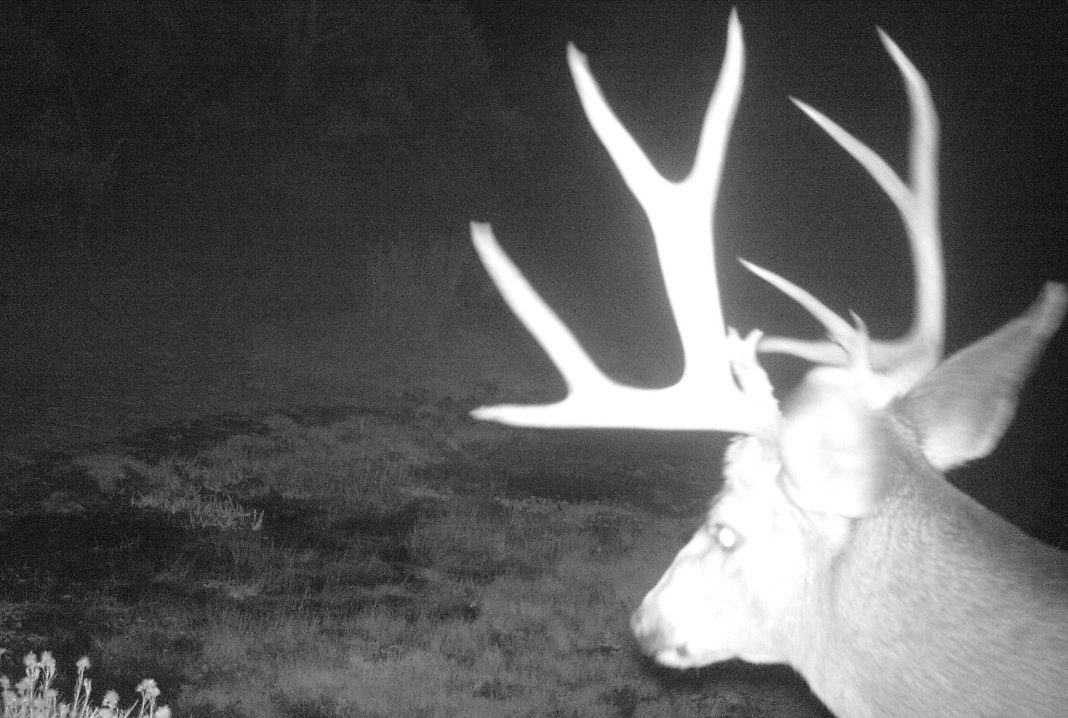 UTAH SUGGESTS CHANGES TO TRAIL CAMERA RULE
