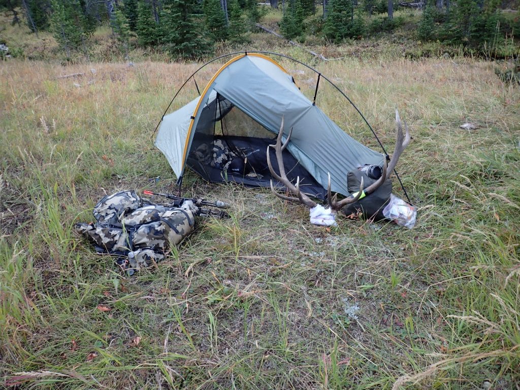 Montana solo trip that led to organic elk meat in the freezer