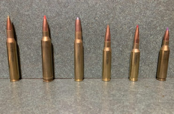 10 UNDERRATED HUNTING CARTRIDGES