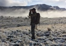 COLORADO HUNTING OPPORTUNITIES