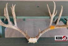 NORTH DAKOTA MAN FINED $74,000 IN NEW MEXICO POACHING CASE