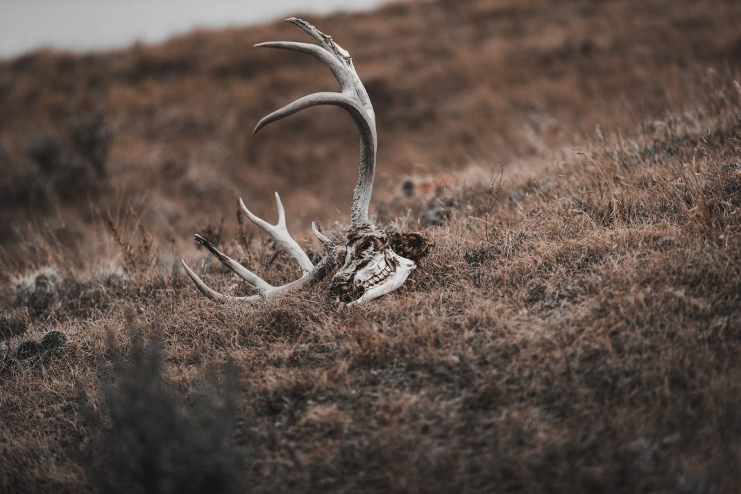 SHED HUNTING REMAINS CLOSED UNTIL MAY 1ST
