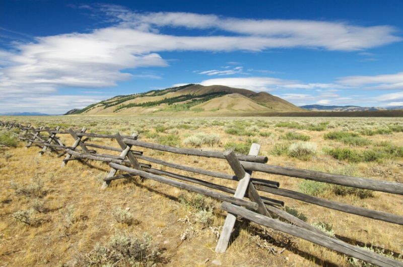 SUBLETTE COUNTY GETS 500 MILES OF WILDLIFE FENCING