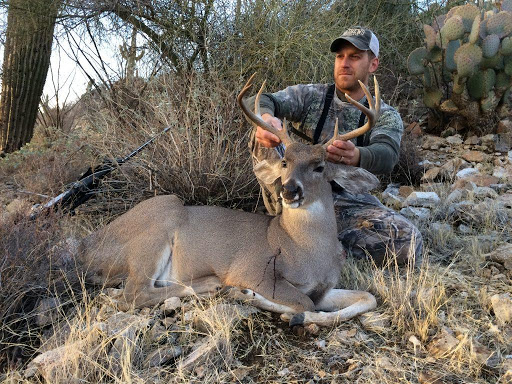 COUES DEER GLASSING TECHNIQUES
