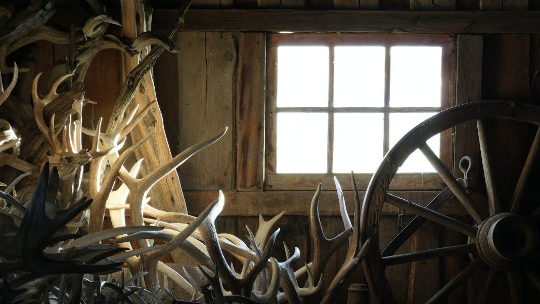WESTERN WYOMING SHED SEASON CLOSES JANUARY 1ST