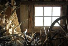 WESTERN WYOMING SHED SEASON CLOSES JANUARY 1ST