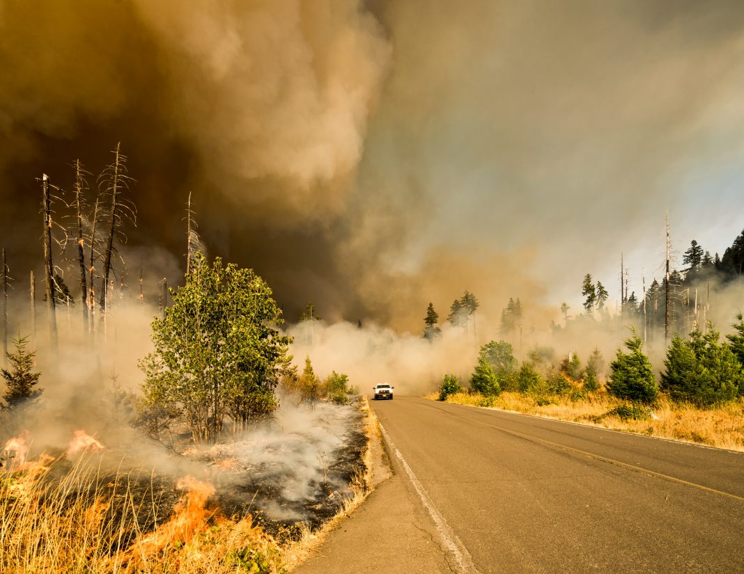 COLORADO HUNTS IMPACTED BY WILDFIRES