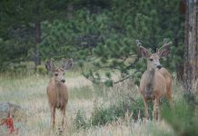 CHANGES TO 2023 ARCHERY HUNTING