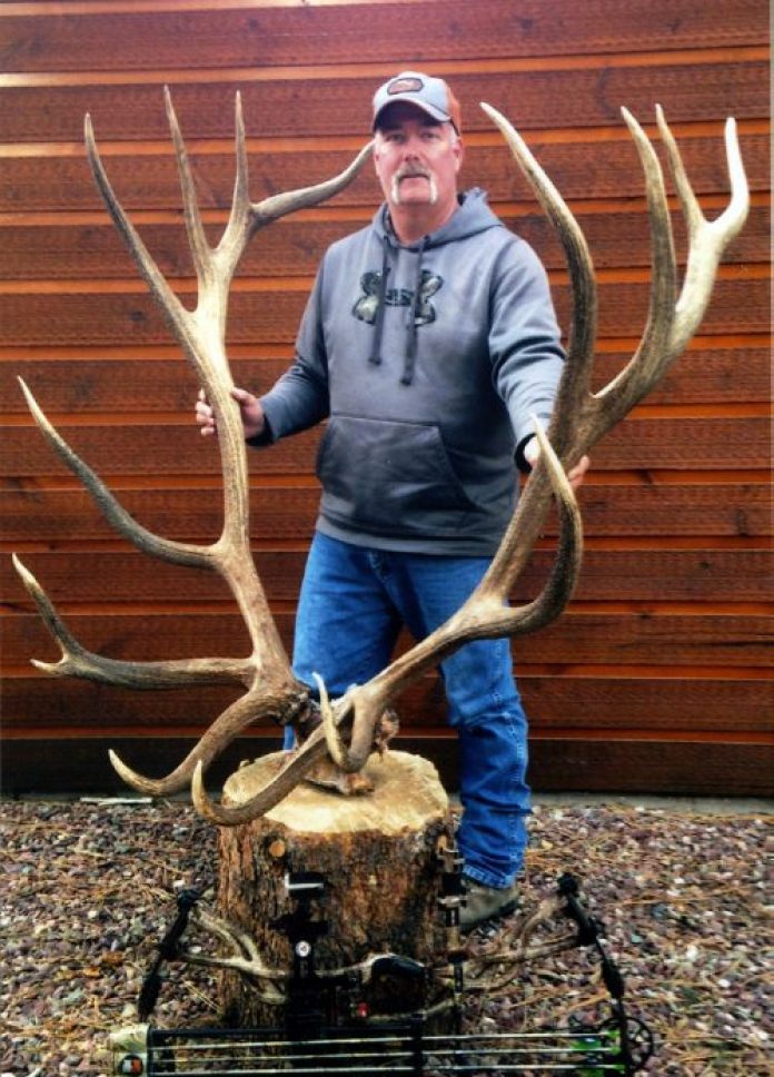 World Record American Elk